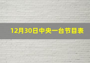 12月30日中央一台节目表