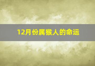 12月份属猴人的命运