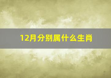 12月分别属什么生肖