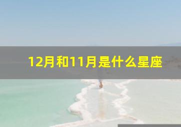 12月和11月是什么星座