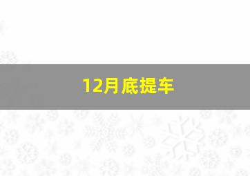 12月底提车