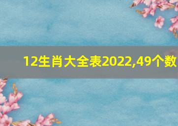 12生肖大全表2022,49个数