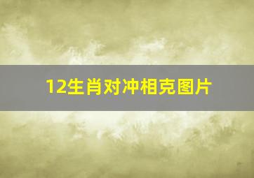 12生肖对冲相克图片