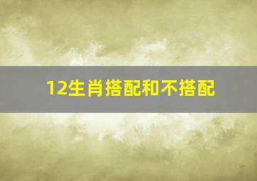 12生肖搭配和不搭配