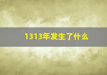 1313年发生了什么