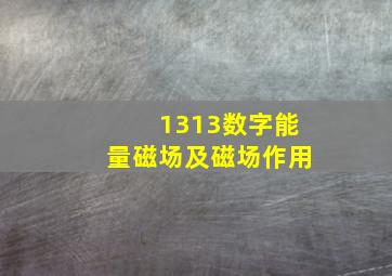 1313数字能量磁场及磁场作用