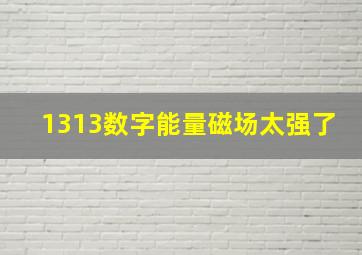 1313数字能量磁场太强了