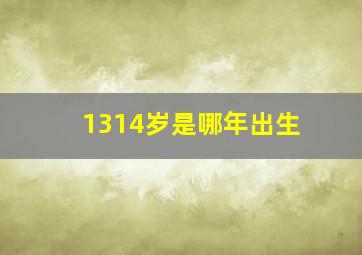 1314岁是哪年出生