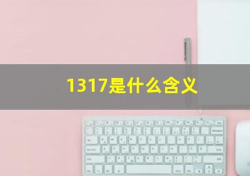 1317是什么含义