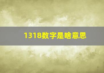 1318数字是啥意思