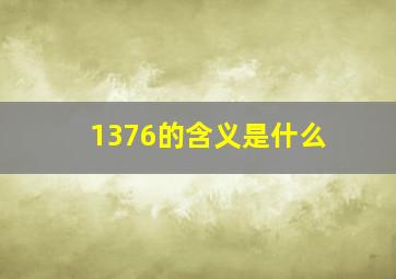 1376的含义是什么