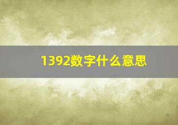 1392数字什么意思