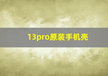 13pro原装手机壳