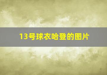 13号球衣哈登的图片