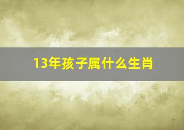 13年孩子属什么生肖