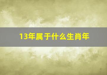 13年属于什么生肖年