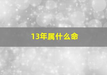 13年属什么命