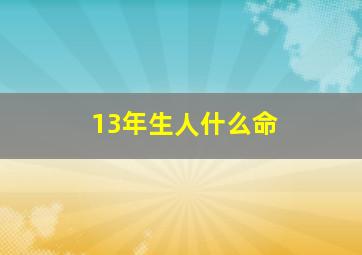 13年生人什么命