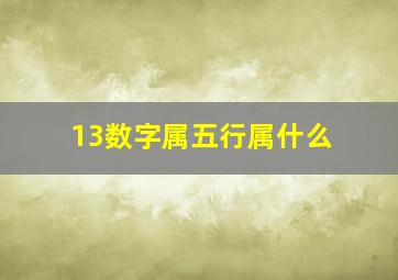 13数字属五行属什么