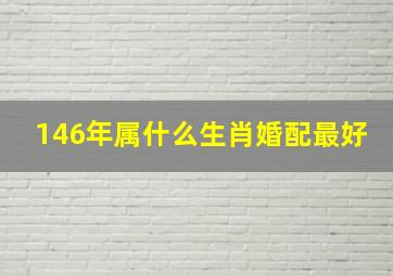 146年属什么生肖婚配最好