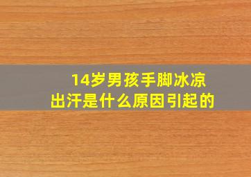 14岁男孩手脚冰凉出汗是什么原因引起的