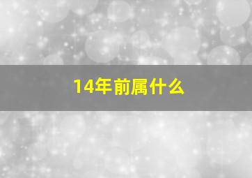 14年前属什么