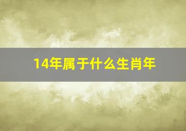 14年属于什么生肖年