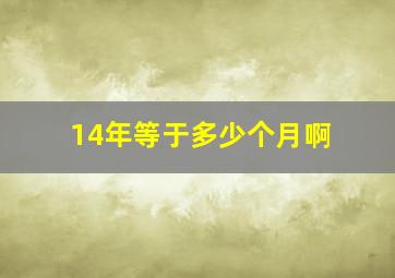 14年等于多少个月啊