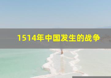 1514年中国发生的战争