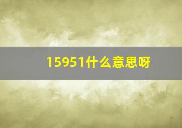 15951什么意思呀