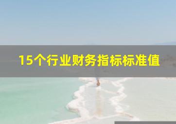 15个行业财务指标标准值