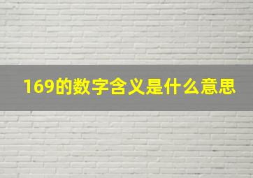 169的数字含义是什么意思