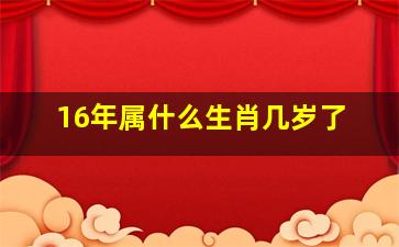 16年属什么生肖几岁了