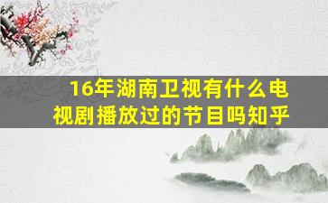 16年湖南卫视有什么电视剧播放过的节目吗知乎