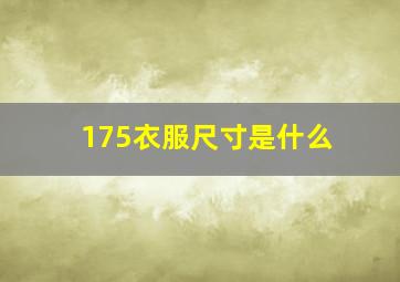 175衣服尺寸是什么