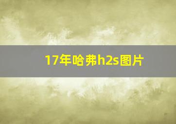 17年哈弗h2s图片