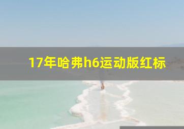 17年哈弗h6运动版红标