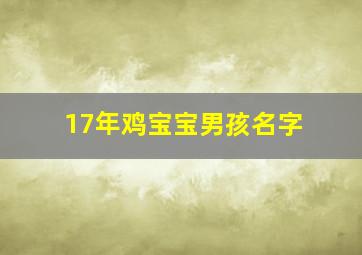 17年鸡宝宝男孩名字