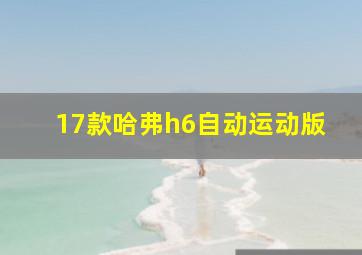 17款哈弗h6自动运动版