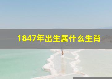 1847年出生属什么生肖