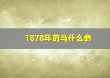 1878年的马什么命