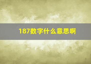 187数字什么意思啊