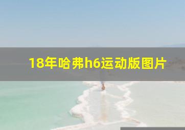 18年哈弗h6运动版图片