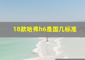 18款哈弗h6是国几标准