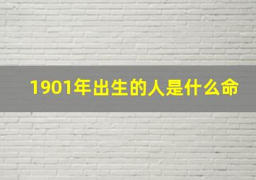 1901年出生的人是什么命