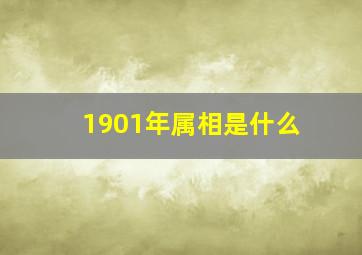 1901年属相是什么