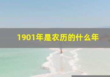 1901年是农历的什么年