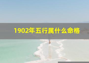 1902年五行属什么命格