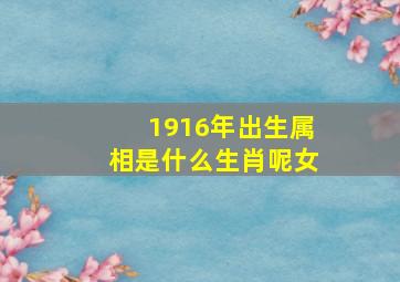 1916年出生属相是什么生肖呢女