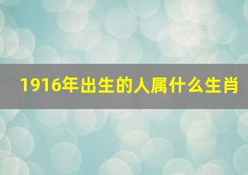 1916年出生的人属什么生肖